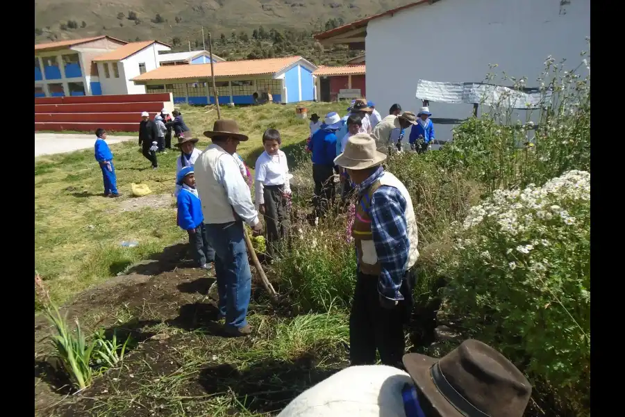 Imagen Casa De Saberes Ancestrales Antamarka - Imagen 7