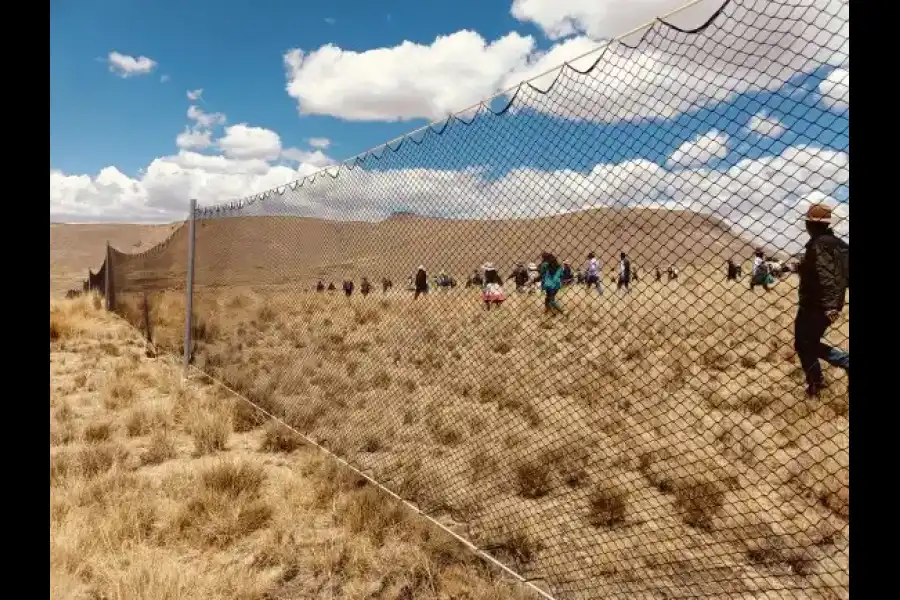 Imagen Festival Ecoturistico Chaku De Vicuñas Tahuapalcca - Imagen 8