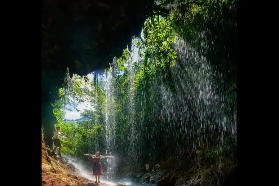 Imagen Área De Conservación Privada Lluvias Eternas De  Pozuzo - Imagen 3