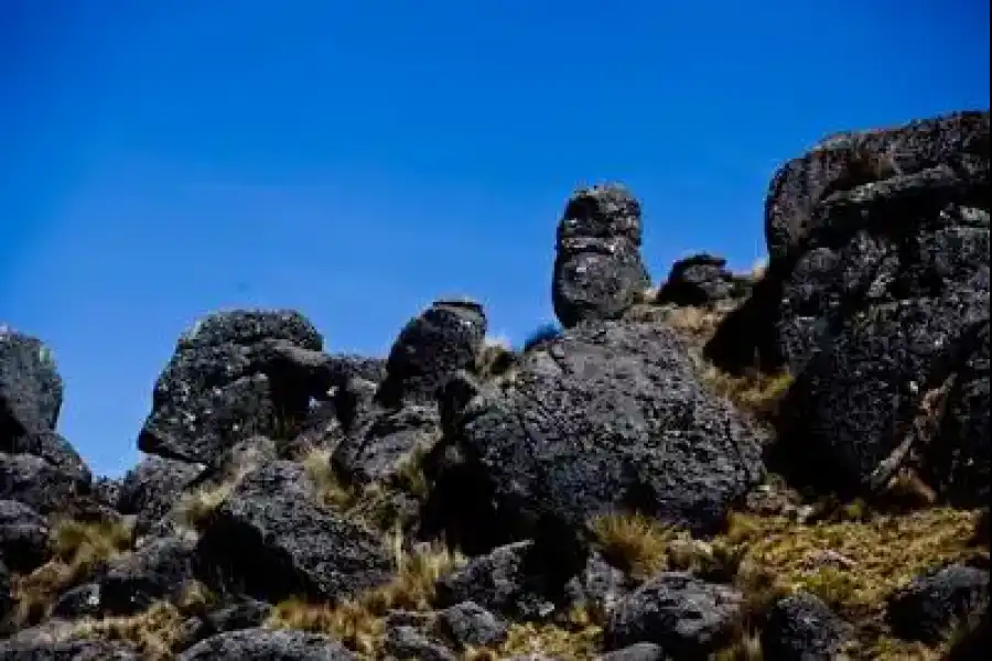 Imagen Bosque De Piedras Cceroncancha - Chacarilla - Imagen 1