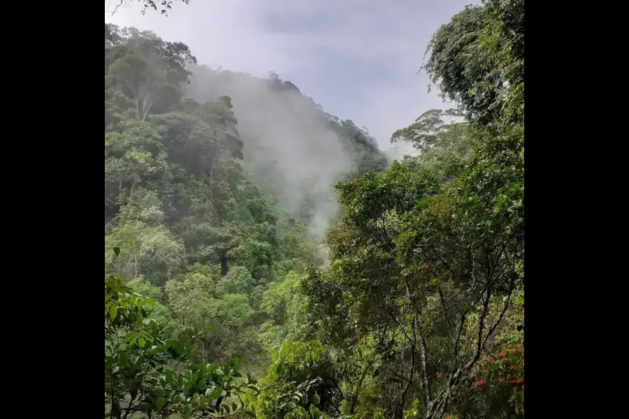 Imagen Aguas Calientes - Imagen 6