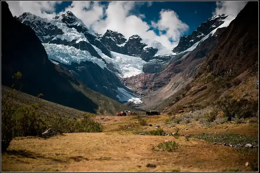 Imagen Quebrada  Cayesh - Parque Nacional Huascarán - Imagen 5