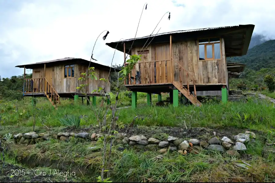 Imagen Fundo Alto Nieva - Rioja - Imagen 17