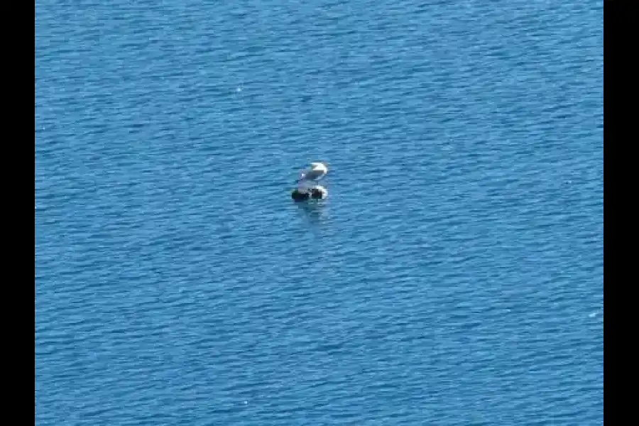 Imagen Laguna De Langui-Layo - Imagen 4