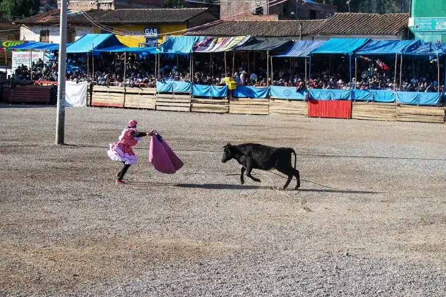 Imagen Fiesta Patronal  San Roque - Imagen 7