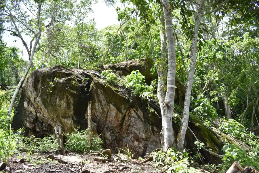 Imagen Piedra De La Cosmovisión Andino Amazonico - Imagen 3