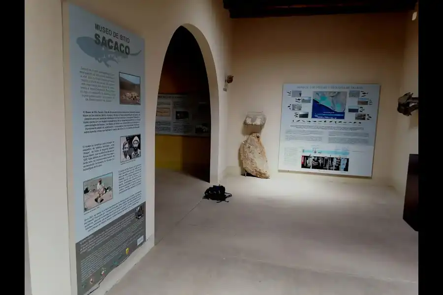 Imagen Museo Paleontologico De Sacaco - Imagen 9