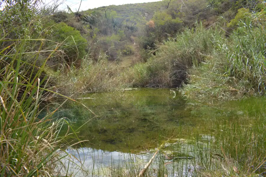 Imagen Quebrada De Huayanay Cucho - Imagen 5