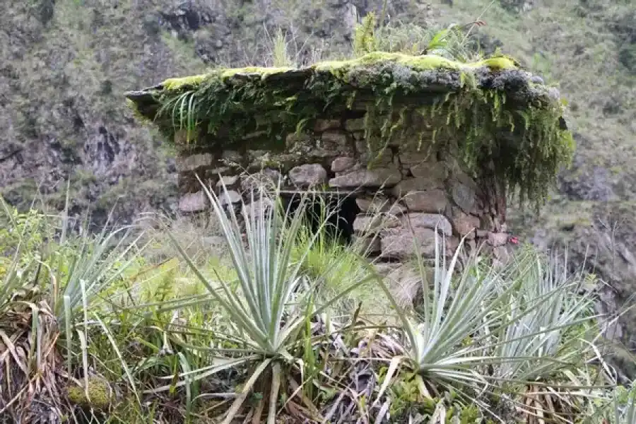 Imagen Sitio Arqueológico De Chichacori - Imagen 4