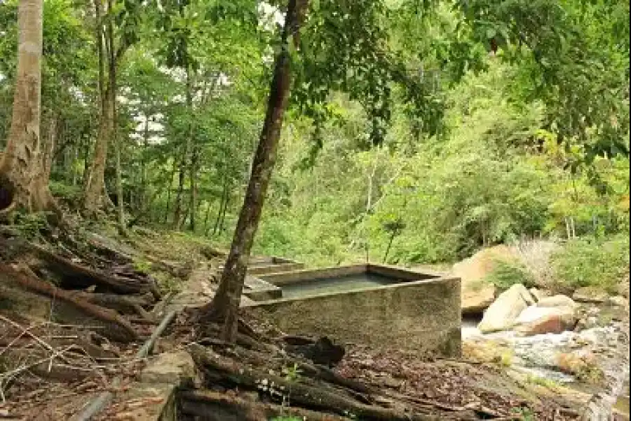 Imagen Baños Termales Y Sulfurosos De Chazutayacu - Imagen 3