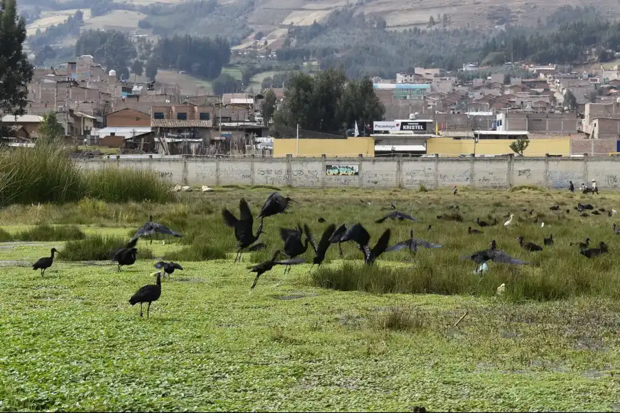 Imagen Campo De Batalla Pampas De Purrumpampa - Imagen 13