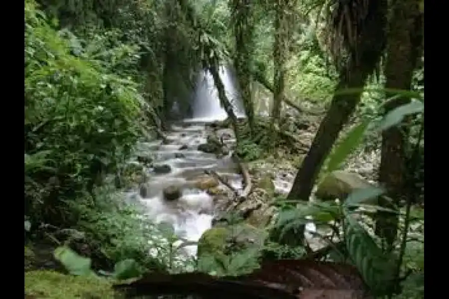 Imagen Catarata De Mandor - Imagen 1