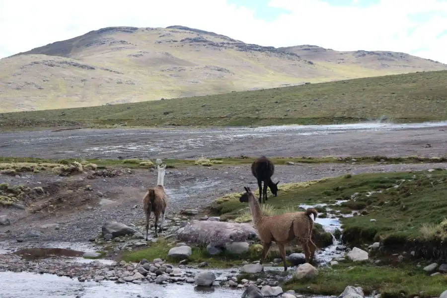 Imagen Baños Termales Geiseres De Pinaya - Imagen 4