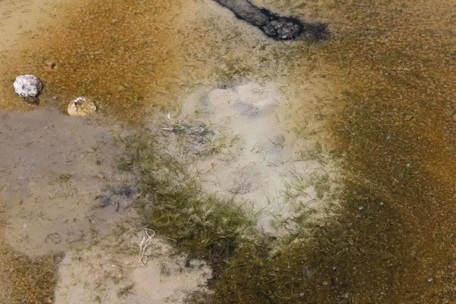 Imagen Baños Termales Geiseres De Pinaya - Imagen 9