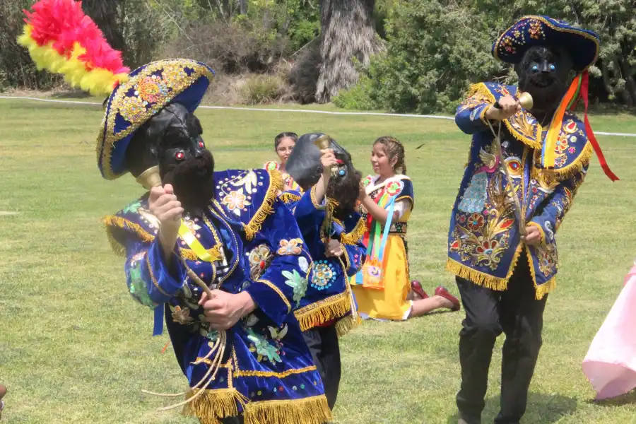 Imagen Danza De Las Pallas De Lurín - Imagen 1