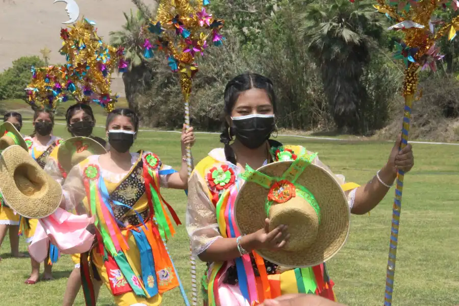 Imagen Danza De Las Pallas De Lurín - Imagen 6