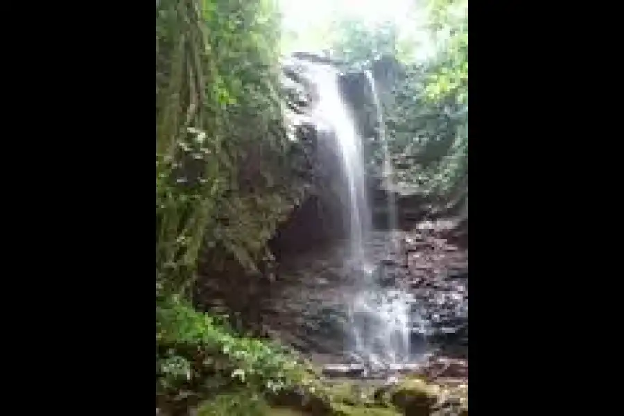 Imagen Cascada Del Vinoyacu - Imagen 1