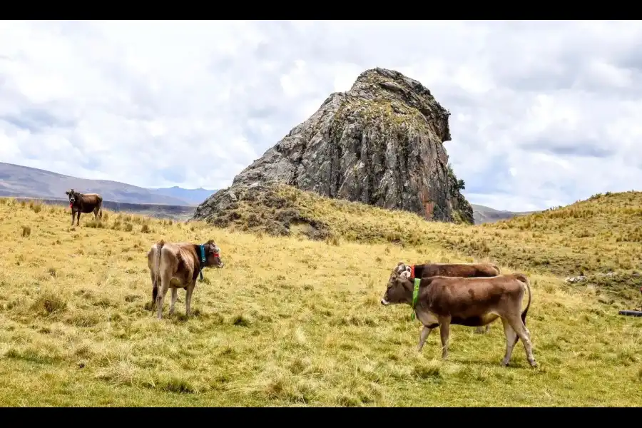 Imagen Cerro Gorila O Chuy Wala - Imagen 16