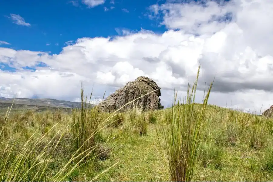 Imagen Cerro Gorila O Chuy Wala - Imagen 5