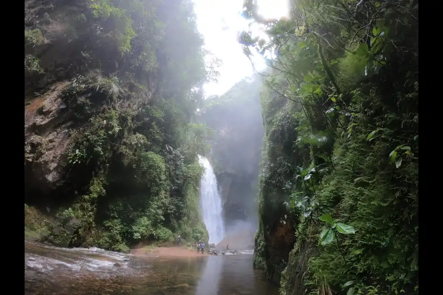 Imagen Catarata Orquídeas - Imagen 5