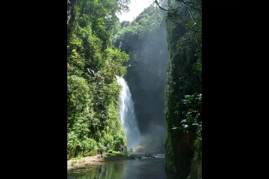 Imagen Catarata Orquídeas - Imagen 6