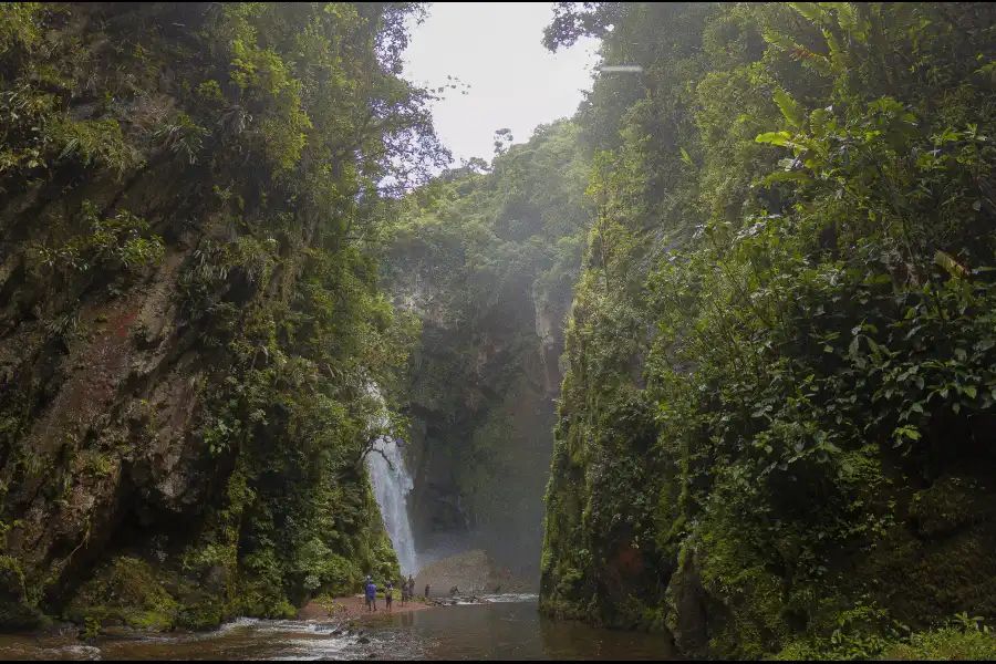 Imagen Catarata Orquídeas - Imagen 7