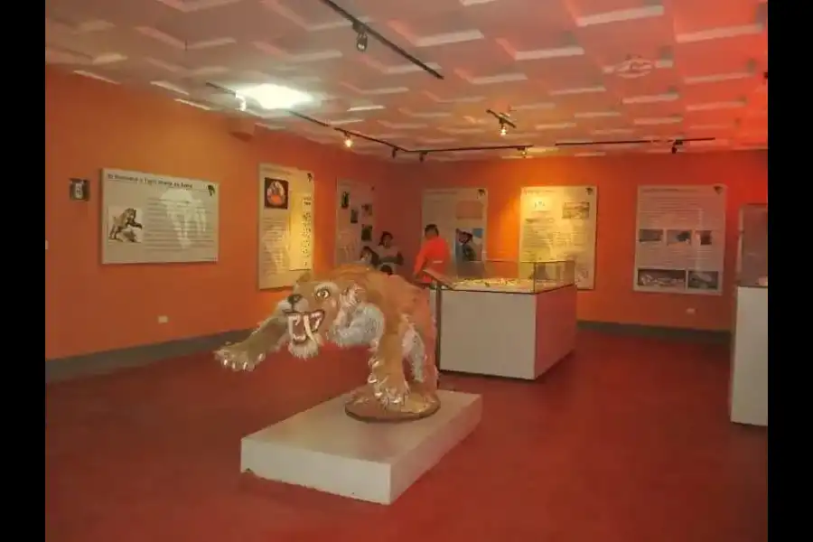 Imagen Museo Paleontológico De Huacrapuquio - Imagen 3