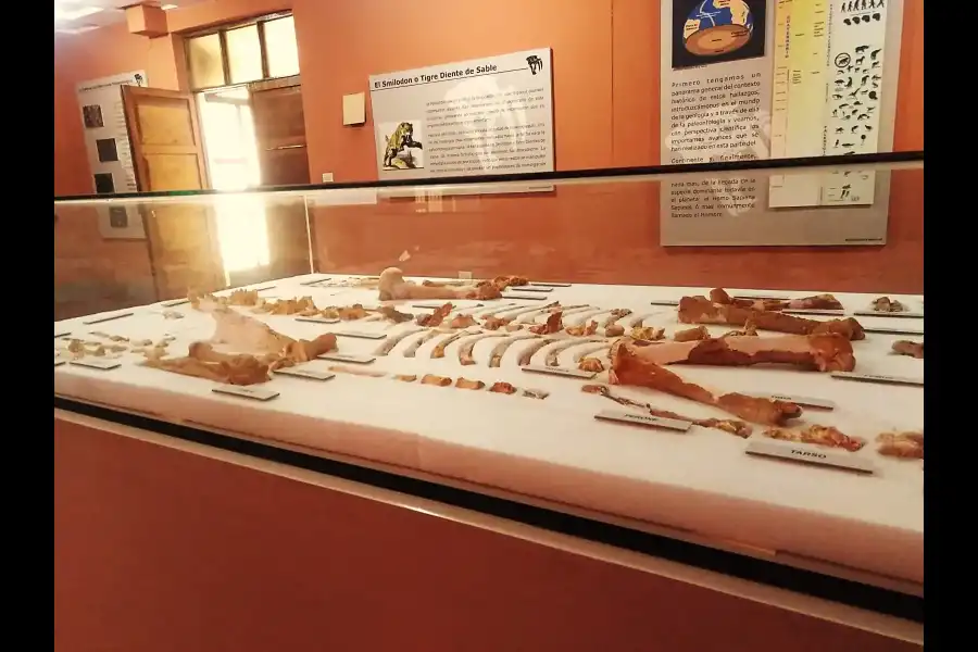 Imagen Museo Paleontológico De Huacrapuquio - Imagen 5