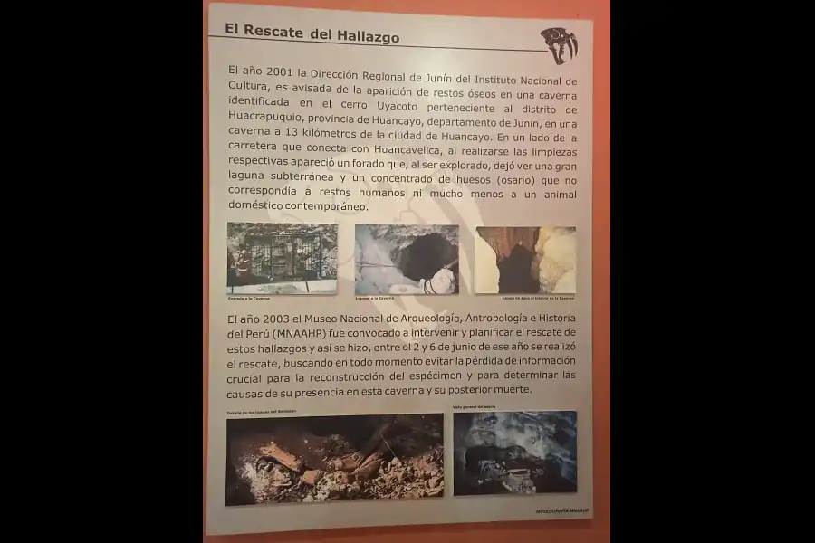 Imagen Museo Paleontológico De Huacrapuquio - Imagen 6