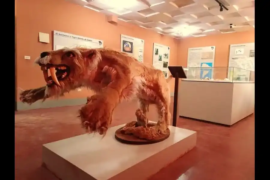 Imagen Museo Paleontológico De Huacrapuquio - Imagen 7