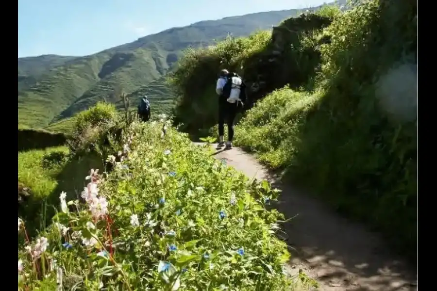 Imagen Sitio Arqueológico De Rupak - Imagen 10