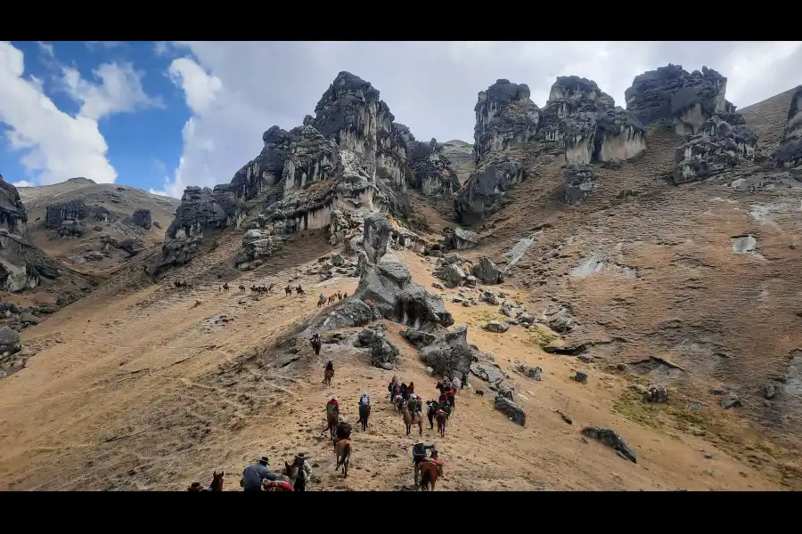 Imagen Bosque De Piedras De Manzanani - Imagen 7