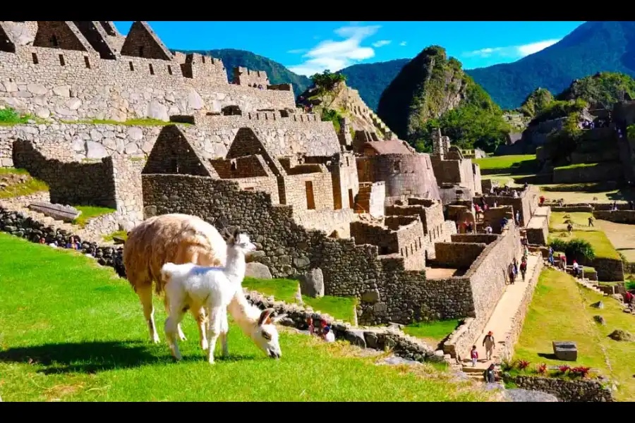 Imagen Parque Arqueológico Nacional De Machu Picchu - Imagen 11