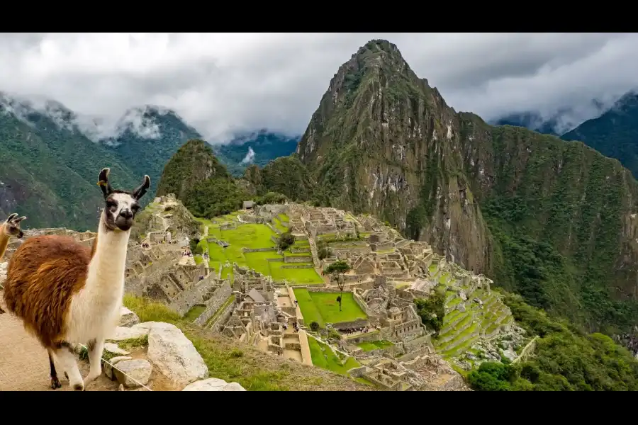 Imagen Parque Arqueológico Nacional De Machu Picchu - Imagen 15