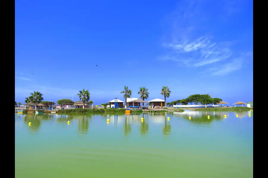 Imagen Área De Conservación Regional Albufera De Medio Mundo - Imagen 1