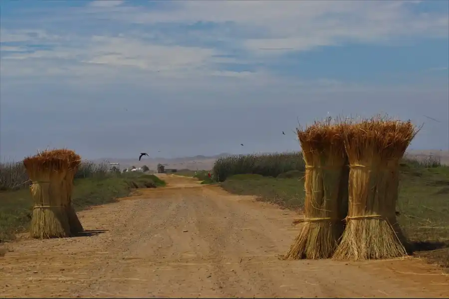 Imagen Área De Conservación Regional Albufera De Medio Mundo - Imagen 4