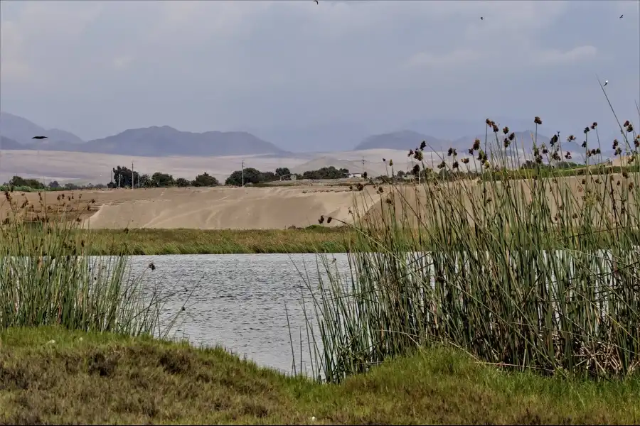 Imagen Área De Conservación Regional Albufera De Medio Mundo - Imagen 8