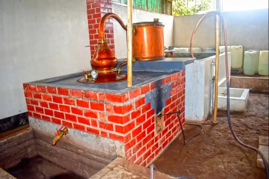 Imagen Bodega De Vinos Y Pisco La Finca Azul - Imagen 1