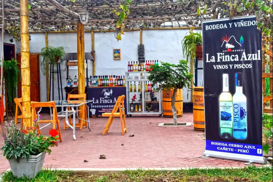 Imagen Bodega De Vinos Y Pisco La Finca Azul - Imagen 5