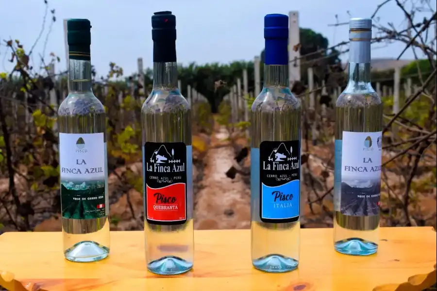 Imagen Bodega De Vinos Y Pisco La Finca Azul - Imagen 7