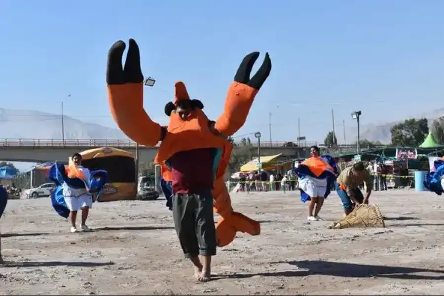 Imagen Festival Del Camarón, Pisco Y Vinos-Corire - Imagen 1