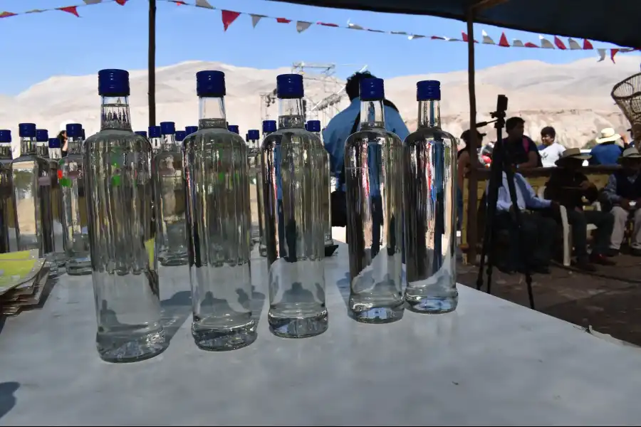 Imagen Festival Del Camarón, Pisco Y Vinos-Corire - Imagen 6