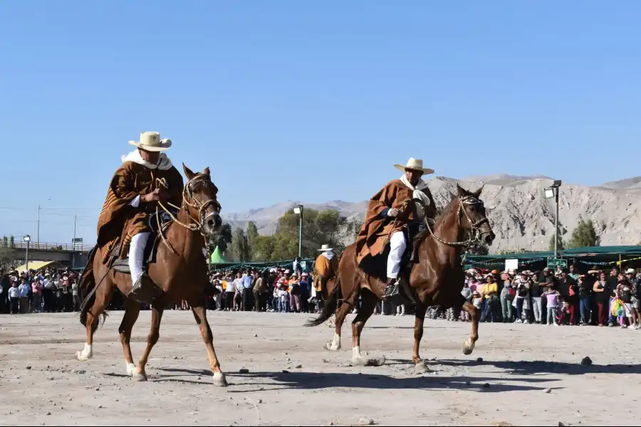 Imagen Festival Del Camarón, Pisco Y Vinos-Corire - Imagen 7