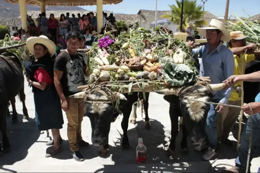 Imagen Fiesta De San Isidro Labrador De Ichocán - Imagen 5