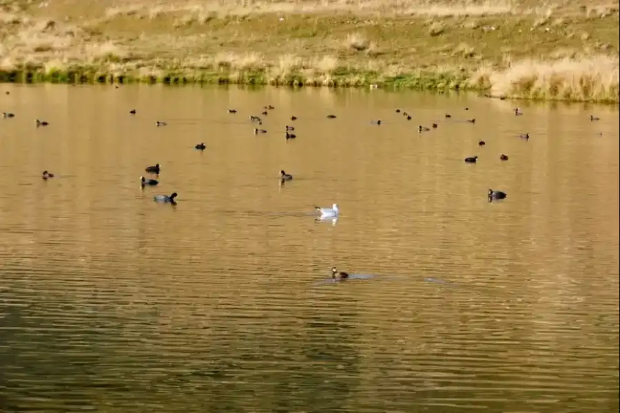 Imagen Laguna Llacsacocha - Imagen 4