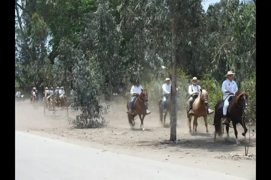 Imagen Alameda Del Caballo Peruano De Paso De Pachacámac - Imagen 3