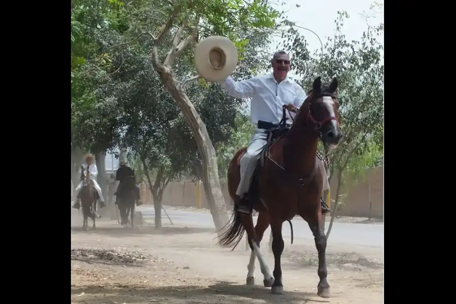 Imagen Alameda Del Caballo Peruano De Paso De Pachacámac - Imagen 4