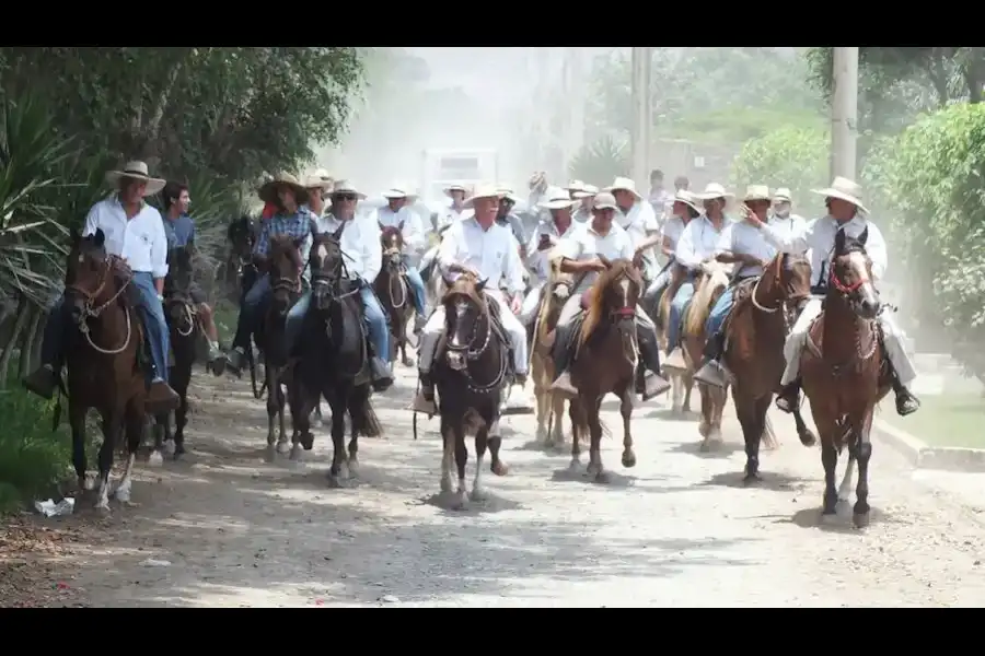 Imagen Alameda Del Caballo Peruano De Paso De Pachacámac - Imagen 5