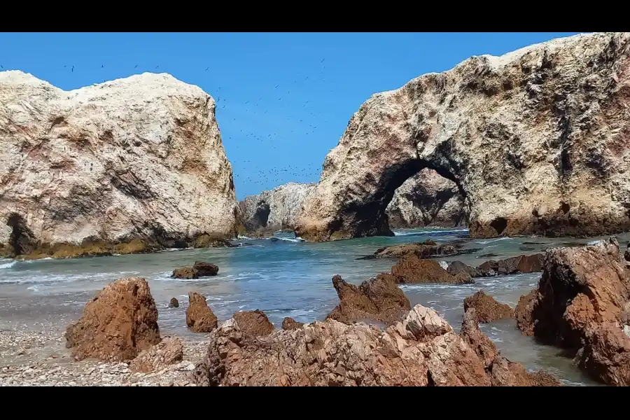 Imagen Playa Los Arcos - Imagen 7