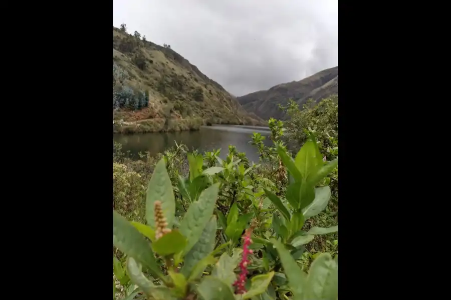 Imagen Laguna Purhuay - Imagen 4